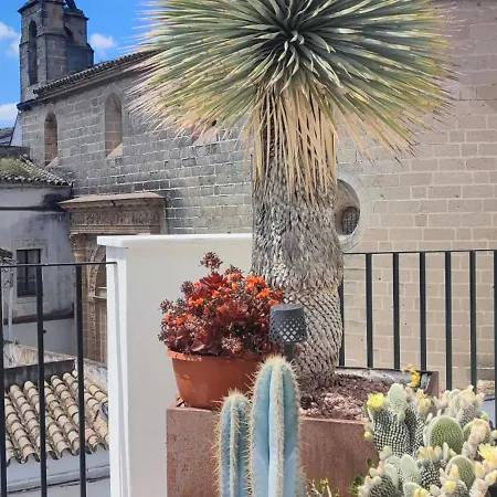 Palacio El Duende Old Town Parking Gratis Terraza Vista Catedral Alcazar Apartment Jerez de la Frontera